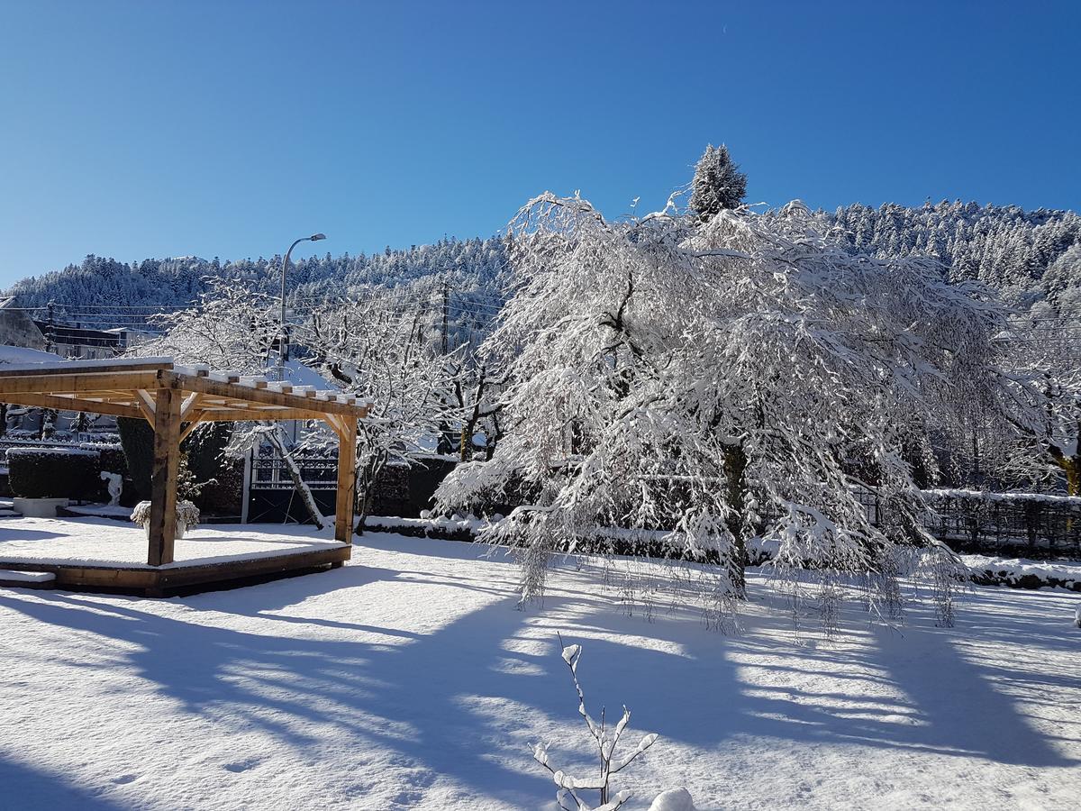 Hotel Le Castelet Le Mont-Dore Esterno foto